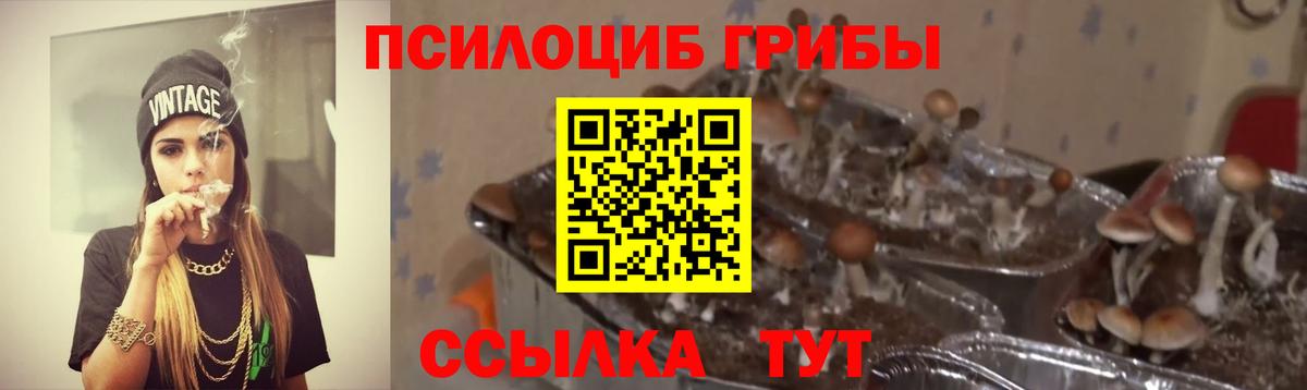 Галлюциногенные грибы мухоморы  Вход с VPN  Корсаков 